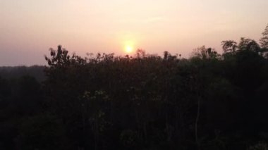 Aerial view of forest in fog with golden sun rays at sunrise in autumn. Beautiful rural landscape