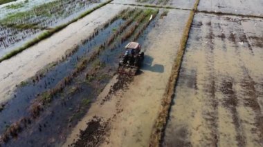 Aerial view of farmer in red tractor preparing land for rice planting with birds flying around. Farmer working in rice field by tractor. Large agricultural industry landscape.