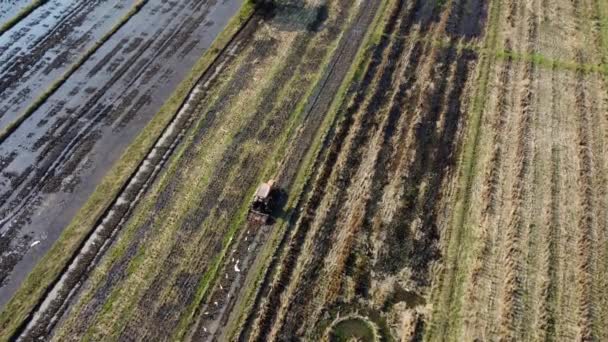 Luftaufnahme Eines Bauern Rotem Traktor Der Land Für Reispflanzungen Mit — Stockvideo