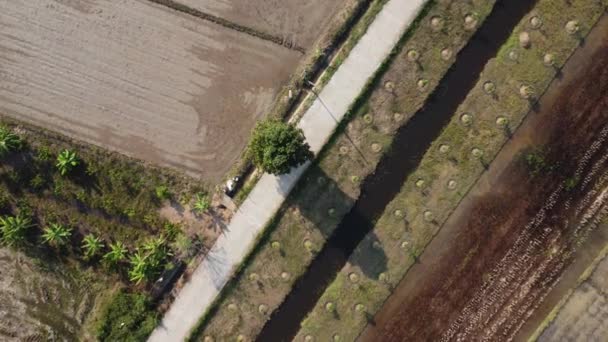 Aerial View Road Cuts Agricultural Area Fields Crops Either Side — Stockvideo
