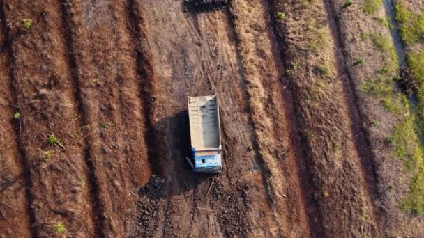 Aerial View Wheel Loader Excavator Backhoe Loading Sand Heavy Earthmover — ストック動画