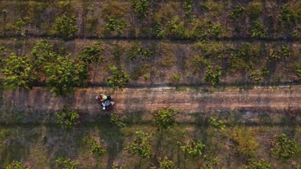 Aerial View Farmer Spraying Green Vegetables Field Herbicides Pesticides Farmers — Stockvideo