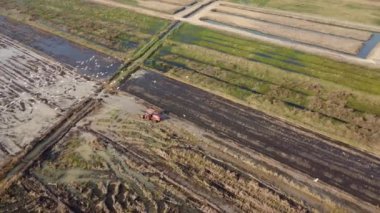 Aerial view of farmer in red tractor preparing land for rice planting with birds flying around. Farmer working in rice field by tractor. Large agricultural industry landscape.