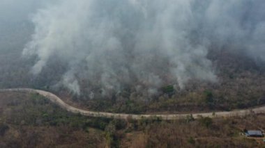 Aerial drone view of a wildfire burning through a forest area, fills the sky with dark smoke in the woods near the edge of the highway. Burning Forest. Air pollution concept