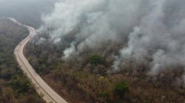 Aerial drone view of a wildfire burning through a forest area, fills the sky with dark smoke in the woods near the edge of the highway. Burning Forest. Air pollution concept