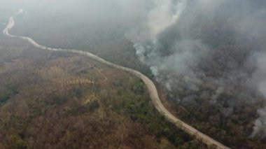 Aerial drone view of a wildfire burning through a forest area, fills the sky with dark smoke in the woods near the edge of the highway. Burning Forest. Air pollution concept