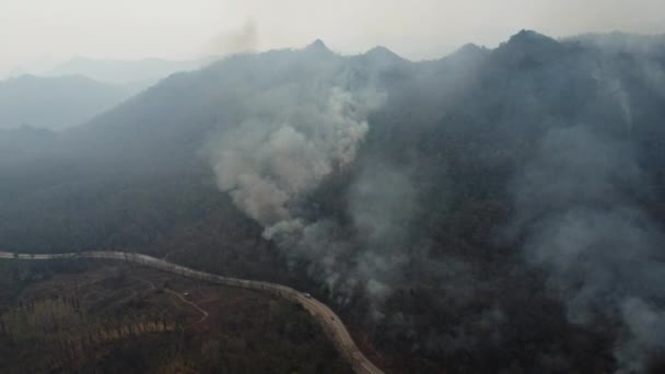 Aerial Drone View Wildfire Burning Forest Area Fills Sky Dark — Videoclip de stoc