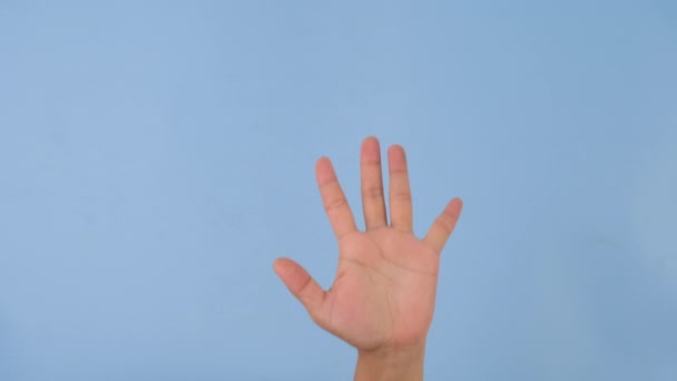 Женские Руки Останавливают Отвергают Предупреждают Защищают Жесты Пастельно Синем Фоне — стоковое видео