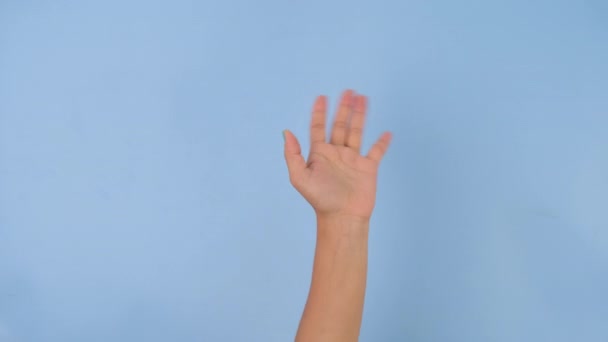 女性的手挥动问候或告别手势孤立在蓝色工作室的背景下 成套的手势动作和肢体语言 — 图库视频影像