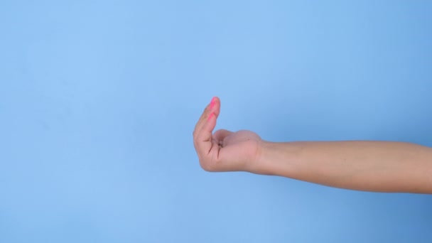Female Hands Making Gesture Come Closer Pastel Blue Background Studio — Stock Video