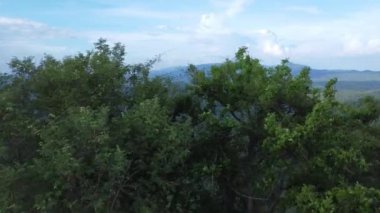 Yeşil tepelerdeki yüksek voltajlı sütunların hava manzarası, mavi gökyüzü altında kablo ve güzel bulutları desteklemek veya taşımak için çelik çerçevelerden oluşmaktadır..