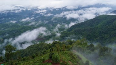 Sabah sisli vadideki ağaçların hava manzarası. Tayland 'daki sisli vadi ve dağ bulutlarının manzarası. Sis deniziyle dağların şafağı.