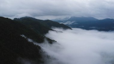 Sabah sisli vadideki ağaçların hava manzarası. Tayland 'daki sisli vadi ve dağ bulutlarının manzarası. Sis deniziyle dağların şafağı.