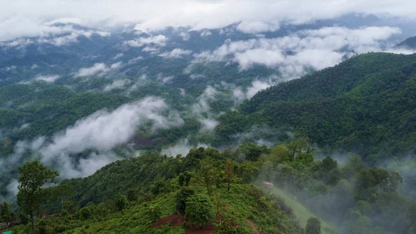 午前中に霧が谷の木々の空中ビュー タイの霧の谷と山の雲の風景 霧の海と山の夜明け — ストック写真