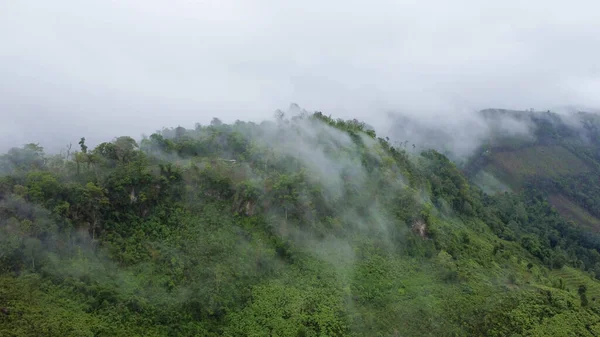 stock image Aerial view of the trees in the valley with fog in the morning. Landscape of misty valley and mountain clouds in thailand. The dawn of the mountains with the sea of mist.