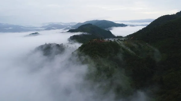 stock image Aerial view of the trees in the valley with fog in the morning. Landscape of misty valley and mountain clouds in thailand. The dawn of the mountains with the sea of mist.