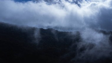 Sabah sisli vadideki ağaçların hava manzarası. Tayland 'daki sisli vadi ve dağ bulutlarının manzarası. Sis deniziyle dağların şafağı.