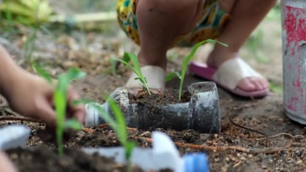 Κοριτσάκι Φυτεύει Φυτά Γλάστρες Από Ανακυκλωμένα Μπουκάλια Νερού Στην Πίσω — Αρχείο Βίντεο
