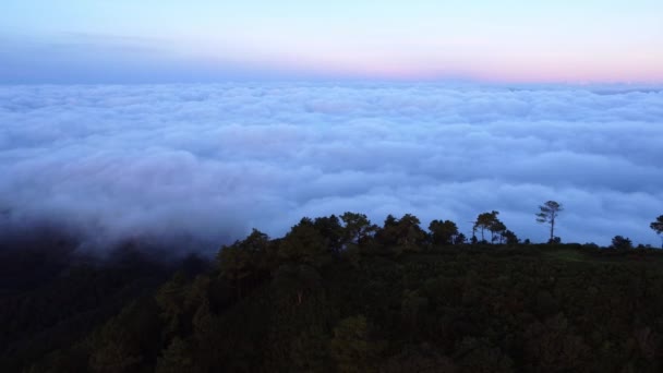 青空の朝の日の出に霧の海で山を眺める空中ビュー 日が昇る山頂周辺の雲海 タイ北部の見えない旅行 — ストック動画