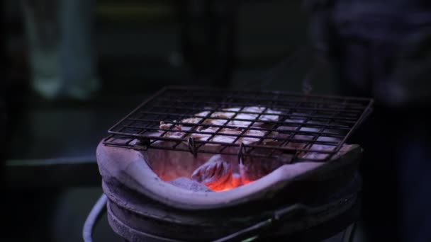 伝統的な炭のストーブの上に焼かれた乾燥したイカ アジアの有名なストリートフードメニュー — ストック動画