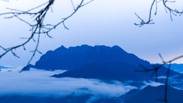 Aerial view over the mountains with sea of fog during morning sunrise in blue sky. Sea of clouds around mountain peaks at sunrise. Unseen travel in Northern Thailand.