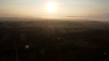 Sabahın erken saatlerinde tropikal orman ve sisli tarlaların havadan görünüşü. Sisteki ağaçlarla, güneş ışınlarıyla, gökyüzüyle, kış sabahındaki ormanla dolu renkli bir manzara..