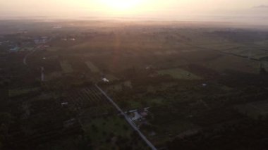 Sabahın erken saatlerinde tropikal orman ve sisli tarlaların havadan görünüşü. Sisteki ağaçlarla, güneş ışınlarıyla, gökyüzüyle, kış sabahındaki ormanla dolu renkli bir manzara..
