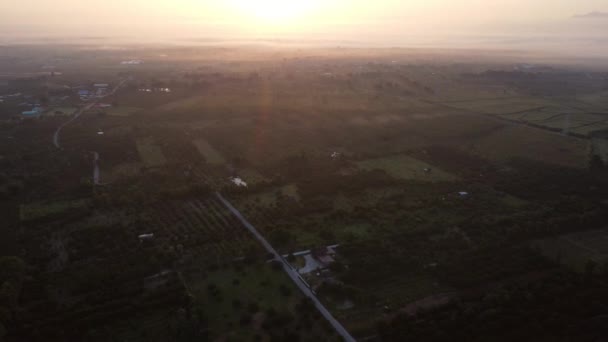 Luchtfoto Van Tropisch Bos Velden Met Mist Vroege Ochtend Kleurrijk — Stockvideo