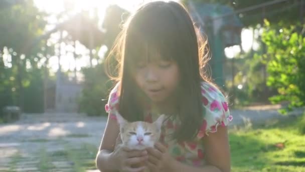 고양이와 귀여운 소녀의 고양이 아이는 부드러움과 사랑으로 고양이를 햇빛에 뒷마당에서 — 비디오