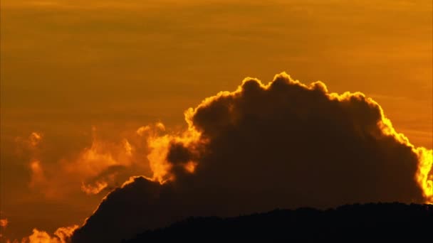 日没または日の出に雲が付いている美しい劇的な空 夕暮れの夕暮れの夕日 黄金色のオレンジ色の雲で自然の空を背景に — ストック動画