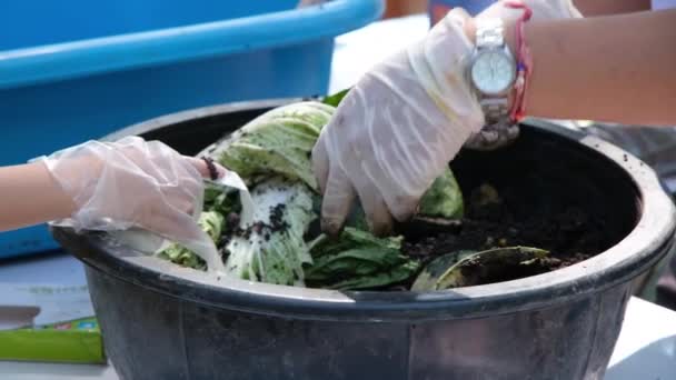 密切关注孩子们的手和老师在学习如何饲养蚯蚓方面的乐趣 手拿着手套的人摸着装有食物废料和生菜的垃圾桶 把红色的虫粪堆肥 — 图库视频影像