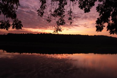 Turuncu, sarı güneş ışığı ve tüylü bulutlarla güzel bir doğa sabahı. Gün batımında bulutlu güzel renkli dramatik gökyüzü ya da göl kenarında gün doğumu.