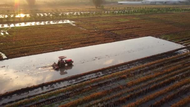 Vue Aérienne Agriculteur Tracteur Préparant Des Terres Pour Plantation Riz — Video
