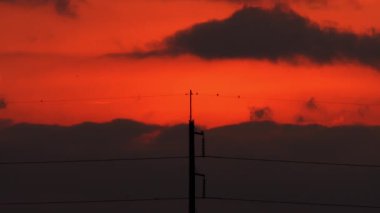 Günbatımında elektrik direkleri ve kablolar ve kırsal alanda hareket eden bulutlar..