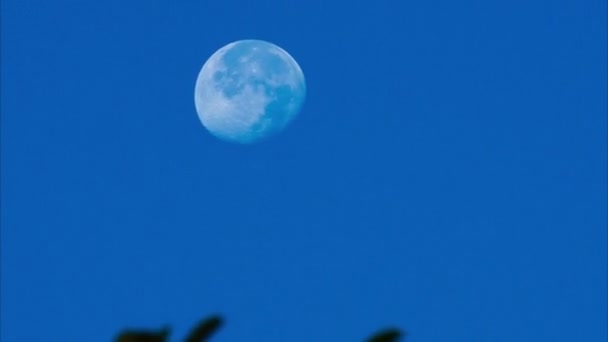 Egy Gyönyörű Holdat Láttak Tiszta Kék Égen Közelkép Hold Egy — Stock videók
