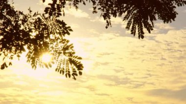 Turuncu, sarı güneş ışığı ve tüylü bulutlarla güzel bir doğa sabahı. Bulutlar ve gündoğumu zaman aşımı.