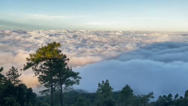 青空の朝の日の出に霧の海で山を眺める空中ビュー 日が昇る山頂周辺の雲海 タイ北部の見えない旅行 — ストック動画
