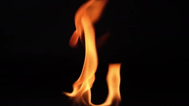 Горячее Пламя Черном Фоне Прекрасное Пламя Огня Темноте Аннотация Пылающего — стоковое видео