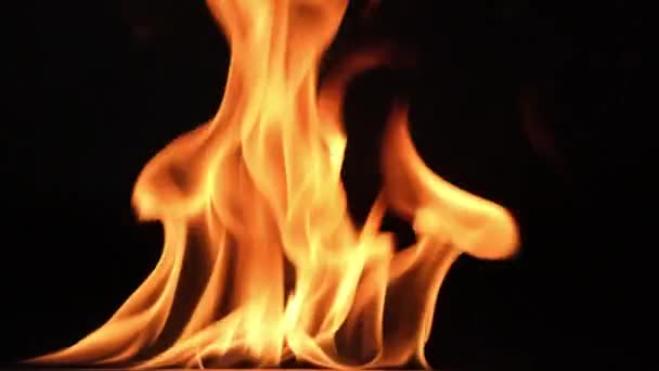 Горячее Пламя Черном Фоне Прекрасное Пламя Огня Темноте Аннотация Пылающего — стоковое видео