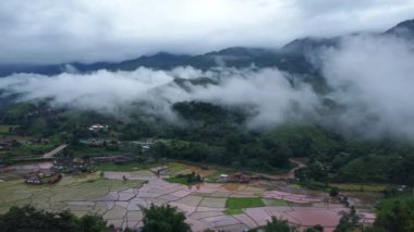 Yağmur mevsiminde güzel Sapan köyü manzarası ve Tayland 'ın Nan ilindeki yeşil pirinç tarlalarının çarpıcı manzarası..