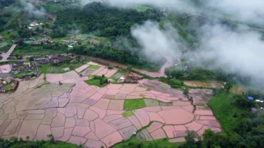 Yağmur mevsiminde güzel Sapan köyü manzarası ve Tayland 'ın Nan ilindeki yeşil pirinç tarlalarının çarpıcı manzarası..