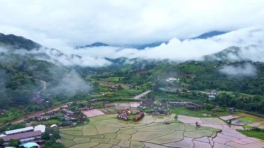 Yağmur mevsiminde güzel Sapan köyü manzarası ve Tayland 'ın Nan ilindeki yeşil pirinç tarlalarının çarpıcı manzarası..