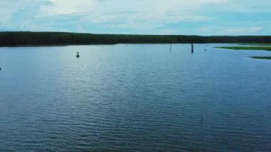 Kham Somboon Sahili, Bueng Khong Bölgesi, Bueng Kan Eyaleti, Tayland, doğada zengin olan büyük bir su kütlesini çevreleyen ormanın doğasını gösteriyor..