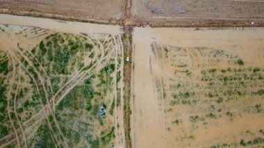 Sabahları tarlayı süren traktörün hava görüntüsü. Tarım traktörü ekili tarlada, tohum ekiyor.