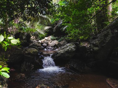 Trai Trung Şelalesi, Chalerm Rattanakosin Ulusal Parkı, Kanchanaburi, Tayland.