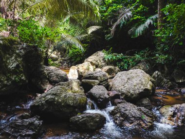 Trai Trung Şelalesi, Chalerm Rattanakosin Ulusal Parkı, Kanchanaburi, Tayland.