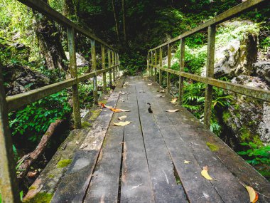 Chalerm Rattanakosin Ulusal Parkı, Kanchanaburi, Tayland 'da bir derenin üzerindeki eski ahşap köprü..