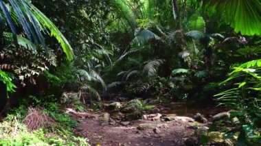 Tham Tarn Lod Noi Mağarası yemyeşil ormanlarla çevrili Chalerm Rattanakosin Ulusal Parkı, Kanchanaburi, Tayland.