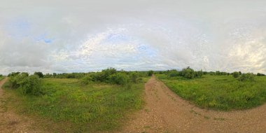 Yağmur mevsiminde kırsal çayırların panoramik manzarası.