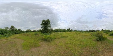 Yağmur mevsiminde kırsal çayırların panoramik manzarası.